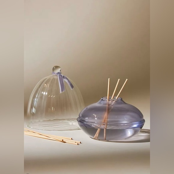 Glass Cloche Diffuser Set with Reed Sticks - Picture 1 of 3
